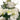 MAZZO MIX FLOREALE - 3 COLORI