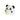 LUCIDALABBRA PANDA