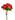 MAZZO ROSE ROSSE