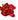 MAZZO ROSE ROSSE
