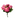 MAZZO ROSE ROSA INTENSO
