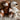 MAXI ORSO TEDDY