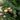 TUBO 14 PALLINE 3 CM - ORO