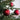 BOX 4 PALLINE 10 CM - ROSSO