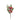 RAMO PINO E BACCHE ROSSE