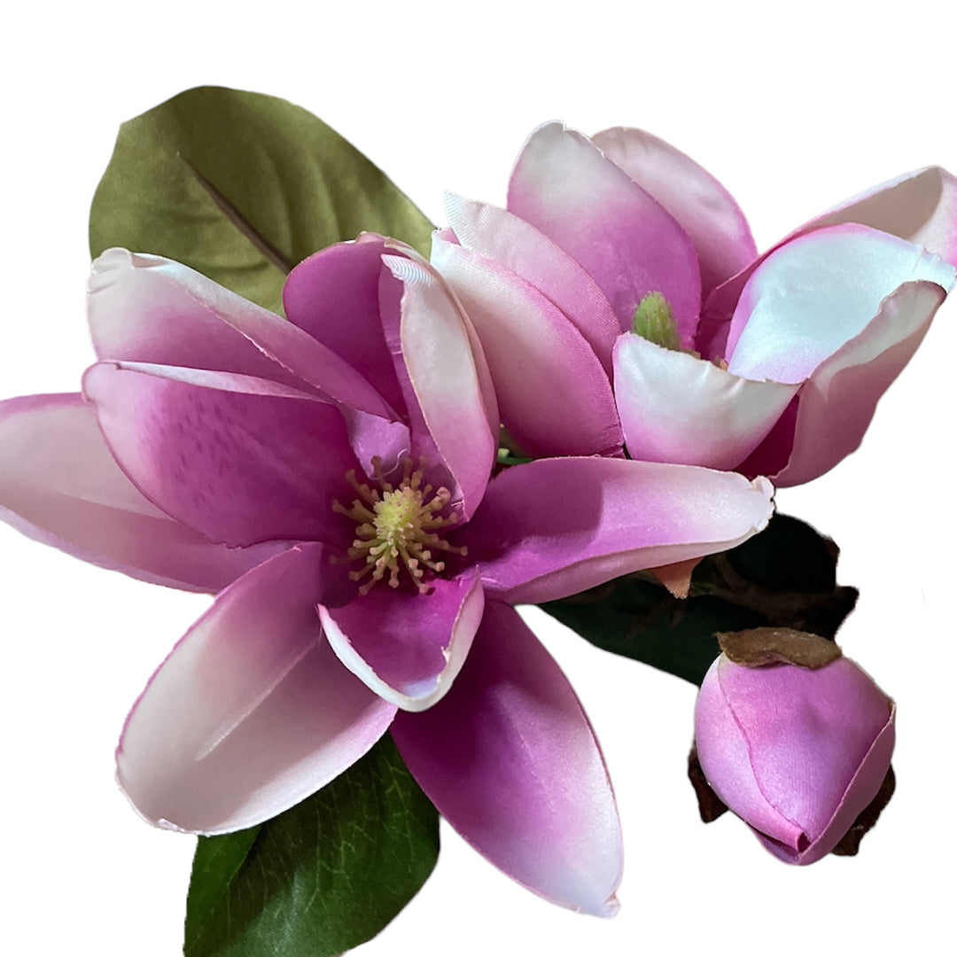 Ramo decorativo di magnolia Patricia marrone, bianco Ramo decorativo di magnolia Patricia marrone, bianco