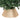 COPRI BASE ALBERO ORO