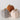 ZUCCA TEDDY MANICO IN CORDA - 3 VARIANTI