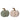 ZUCCA TEDDY E SPAGO - 2 VARIANTI GRANDE