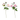 STELO 3 PEONIE ROSA TENUE 62 CM - 2 VARIANTI