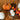 ZUCCA TEDDY GRANDE - 3 VARIANTI