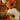 ZUCCA TEDDY PICCOLA - 3 VARIANTI