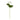 CRISANTEMO SINGOLO ARTIFICIALE 66 CM - BIANCO
