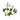 MAZZO FRONTALE PEONIE E ORCHIDEE CREMA E BIANCO