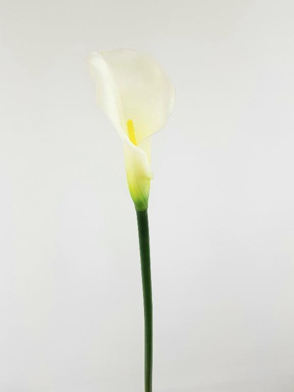 Fiore Pistilli Nebbiolina in confezione da 36 pezzi a 7.2 € per Fiore Pistilli Nebbiolina in confezione da 36 pezzi a 7.2 € per