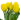 MAZZO DI TULIPANI REAL TOUCH H. 30 CM - GIALLO