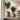 VASO VIENNA BEIGE - 2 MISURE