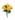 MAZZO ROSE GIALLE